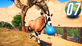 Planet Zoo Franchise  Part 7  Gemsbok [upl. by Atiragram]