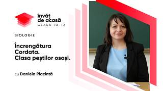 Biologie cl X quotÎncrengătura Cordata Clasa peștilor osoșiquot [upl. by Erde]