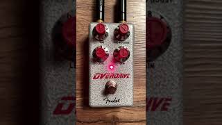 HAMMERTONE PEDALS  OVERDRIVE shorts [upl. by Boonie]