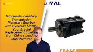 Wholesale Planetary Transmission Planetary Gearbox with Hydraulic Motor  Your Brevini Replacement S [upl. by Pomcroy]