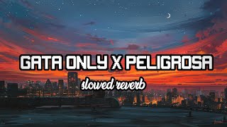 Gata Only x Peligrosa Jr Stit Mashup Slowed amp Reverbed [upl. by Lechar]