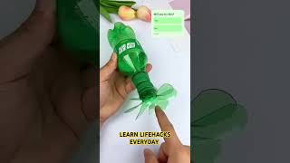 Learn Lifehacks Everyday shorts DreamScreenAI diy craft [upl. by Acirred306]