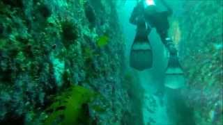 Scuba Dive Tasmania Deep Glen Bay Eaglehawk Neck [upl. by Anav265]