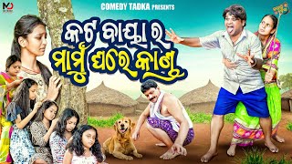 ପିଲାଦିନକଥା 20  କଟବାୟାର ମାମୁଁ ଘରେ କାଣ୍ଡ  PILADINAKATHA 20  SUJIT COMEDY  NEW ODIA COMEDY [upl. by Hpesoj]