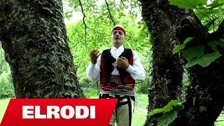 Gjovalin Prroni  Kur degjoj zanin e bilbilit Official Video HD [upl. by Aisatsanna791]