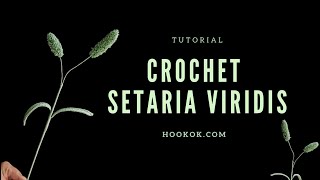 Crochet Setaria Viridis [upl. by Pace]