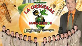 La Original Banda Limon 2013 mix [upl. by Abott]