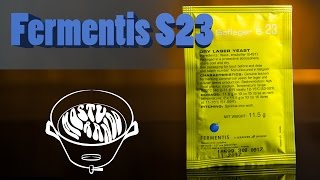 Fermentis S23 — Lager com cara de Ale [upl. by Manuela]