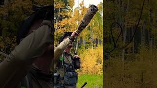 Bugling in the aspens huntingmountainselkwapiti [upl. by Notsnarc]