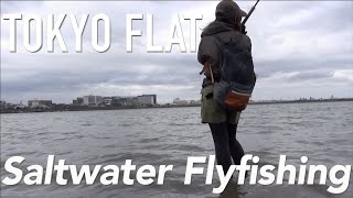 フライフィッシング海タックル 東京湾の釣り  Saltwater Fly Fishing Japan [upl. by Ros]