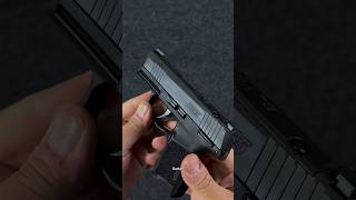 The BEST for CCW Sig Sauer P365 [upl. by Anders]