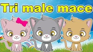 Tri male mace  Pesmica za decu  Pesma o životinjama  Životinje za decu  Three Little Kittens [upl. by Mahsih]