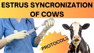 How Estrus Synchronization Can Supercharge Your Cattle Herd Uncover the Benefits Now [upl. by Sigismond]