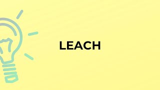 What is the meaning of the word LEACH [upl. by Slaby]