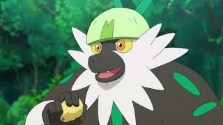 Passimian Pokemon all Attacks pokemon passimian all new attacks youtubevideo [upl. by Cirted336]