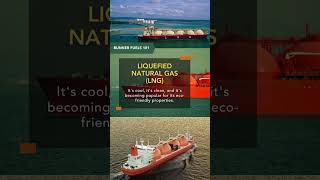 Bunkering 101 Types of Maritime Fuels [upl. by Weinman642]