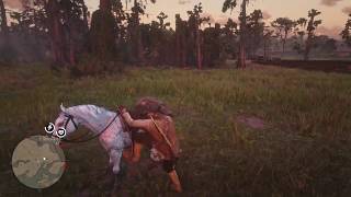 Red Dead Redemption 2 100 Walkthrough Chapter 2 Part 236 Trapper Saddles Alligator Ranch Cutter [upl. by Lehplar]