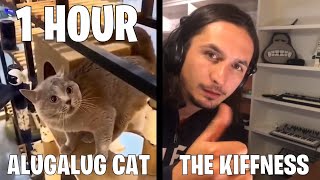 1 HOUR Alugalug CAT X The Kiffness Gato Cantando 1H Singer Cat 1 Hora [upl. by Nnaarual]