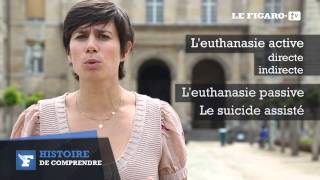 Histoire de comprendre  L’euthanasie [upl. by Enelhtac]