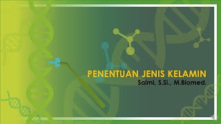 Kuliah GenetikaSex Determination Penentuan Jenis Kelamin [upl. by Rubia]