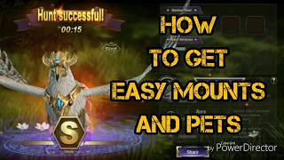 Taichi Panda 3 Dragon Hunter  Easy Mounts and Easy pets Feat XienaYT [upl. by Thorsten]