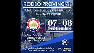 1ra SERIE LIBRE  RODEO PROVINCIAL Club LOS LLANOS DE PELARCO  ASOC TALCA OTE [upl. by Carrick]