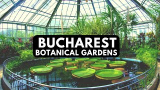 Bucharest City Bucharest Botanic Gardens Weekend Walk [upl. by Nnaharas281]