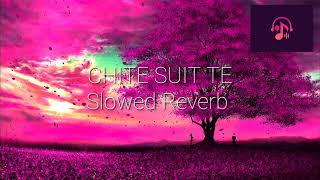 Chite Suit Te  Geeta Zaildar  Punjabi song  SlowedReverb [upl. by Eusadnilem260]