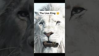 Lion king attitude 😈 4k editz shorts trending lionking mufasa trendingshorts hollywoodmovies [upl. by Novi]