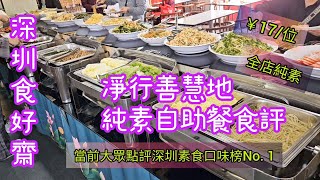 《深圳素食自助餐》￥17位 款多好味道 性價比高 全店純素 凈行善慧地 深圳素食店 午市純素食評（附中字，地址及前往教學 Vegan Buffet  Shenzhen vegan food [upl. by Cailly]