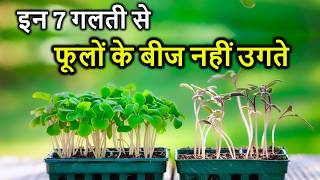 फूलों के बीज न उगने के 7 कारण  Why Seeds Germination Failed  Leggy Seedling [upl. by Xuagram]