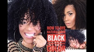 How To Dye Natural Hair Black  Demi Permanent Color  Tia Kirby [upl. by Belanger]