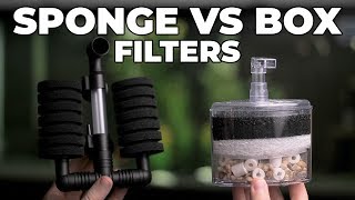 Box Filters Vs Sponge Filters Which One Is Better [upl. by Airtina]