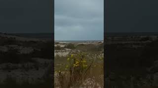 Looking across the dunes of The Point where the Delaware Bay meets the Atlantic Ocean [upl. by Almeria]