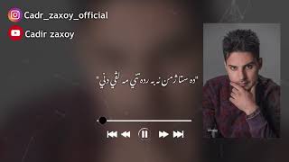 جادر زاخوي دونيا هه مي ب ده رده Donia hemi b derda  Official Lyrics Vedio [upl. by Gefell]