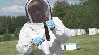 How to Use HopGuard® II to Control Varroa Mites [upl. by Yesnil]