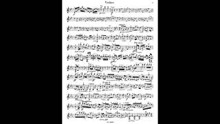 Seitz Violin Pupils Concerto No3 Op12 Student 賽茲 賽滋 小提琴 學生 協奏曲 第三號 Score Sheet 譜 樂譜 谱 楽譜付き 【Kero】 [upl. by Relda]