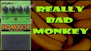 DigiTech Bad Monkey not working [upl. by Grunberg]