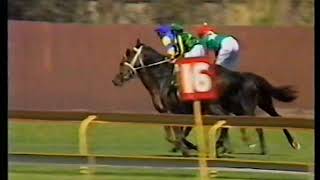 1985 Bendigo Cup Day Pt 2 [upl. by Ayikin]