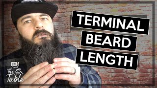 Terminal beard length [upl. by Name]