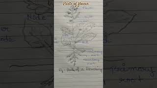 Parts of flower easy diagram music travel [upl. by Oirasec]