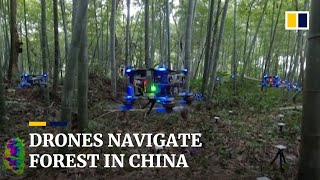 Autonomous drones fly through Chinese bamboo forest [upl. by Shawnee]