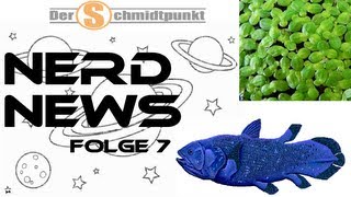 Der Quastenflosser Entengrütze und Kepler Nerd News [upl. by Ennaeel]