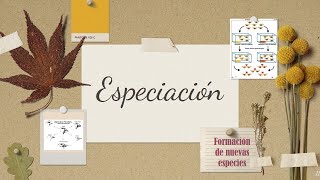 Especiação  Questão  Tipos de Especiação  Alopátrica e Simpátrica  Evolução [upl. by Woodsum684]