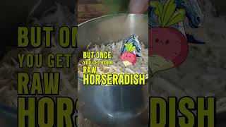 Extra Hot Horseradish Sauce with Fire Cider  Ranch Spotlights [upl. by Enyamrahc422]