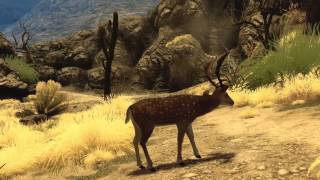 Cabelas Big Game Hunter 2010  long dev trailer [upl. by Llebasi755]