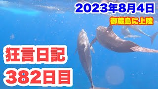 狂言師の365日御蔵島に上陸！♯japanvlog ♯japan ♯vlog ♯御蔵島 ♯mikurajima [upl. by Mittel]