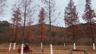 4K  Nanjing Wuxiangshan Exploring the Natural Beauty of the Citys Backyar [upl. by Adoh]