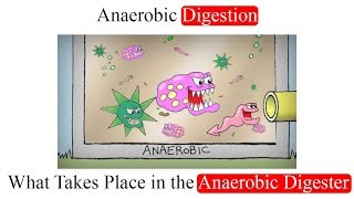 Anaerobic Digestion What Takes Place in the Anaerobic Digester [upl. by Jimmy]