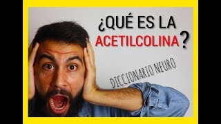 ¿Qué es la ACETILCOLINA [upl. by Aticilef]